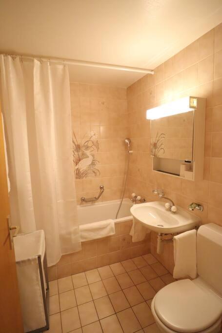 Comfortable, Very Well Located Between Train Station And Lake! * Lausana
